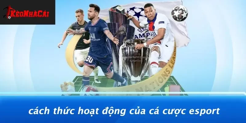 Cách Thức Hoạt Động Của Cá Cược Esport