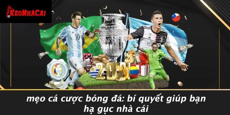 MẸO CÁ CƯỢC BÓNG ĐÁ: BÍ QUYẾT GIÚP BẠN HẠ GỤC NHÀ CÁI